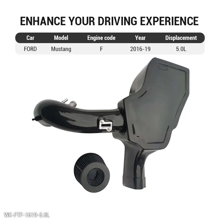 For Mustang 5.0 Cold Air Intake Dry Carbon Fiber Aftermarket Manufacturer (3)
