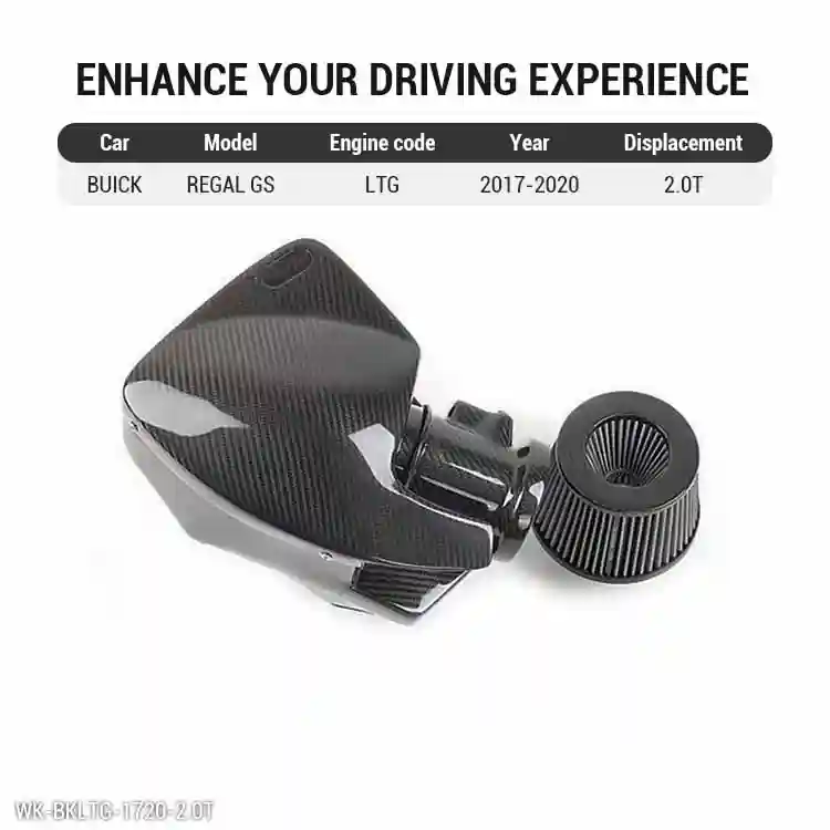 For Buick Regal GS Cold Air Intake 2017–2020 2.0T LTG (1)
